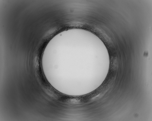 X0000102830692200809151040