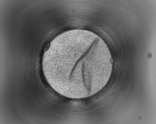 X0000102830693200809151040