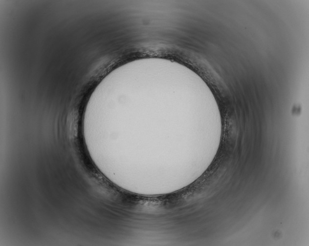 X0000102830694200809151040