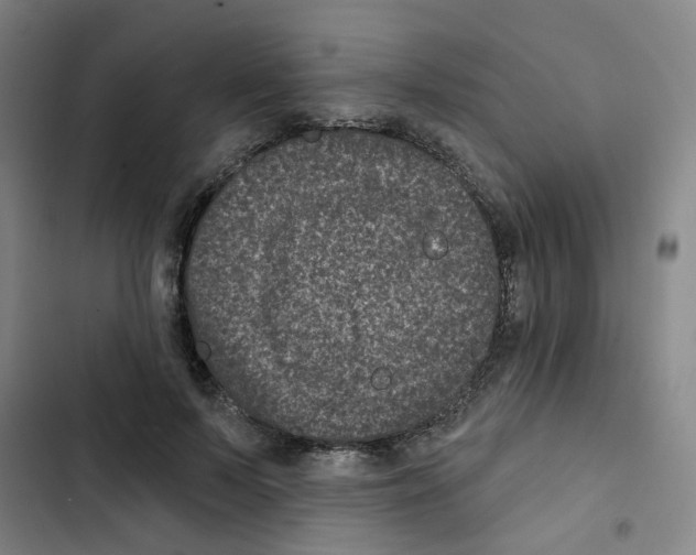 X0000102830695200809151040