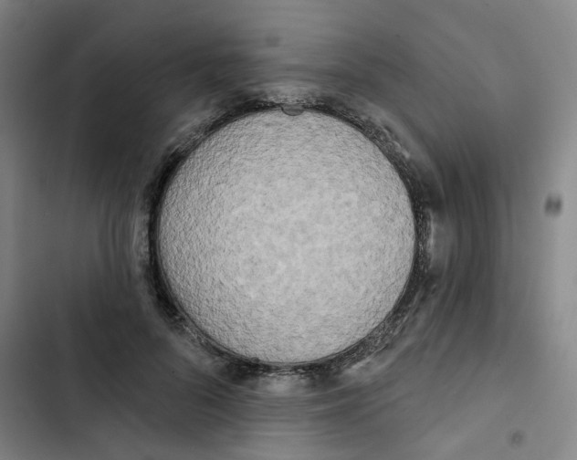 X0000102830696200809151040