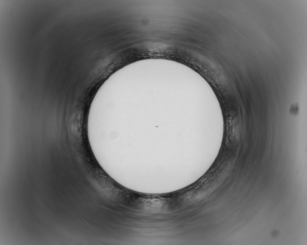 X0000102830698200809151040