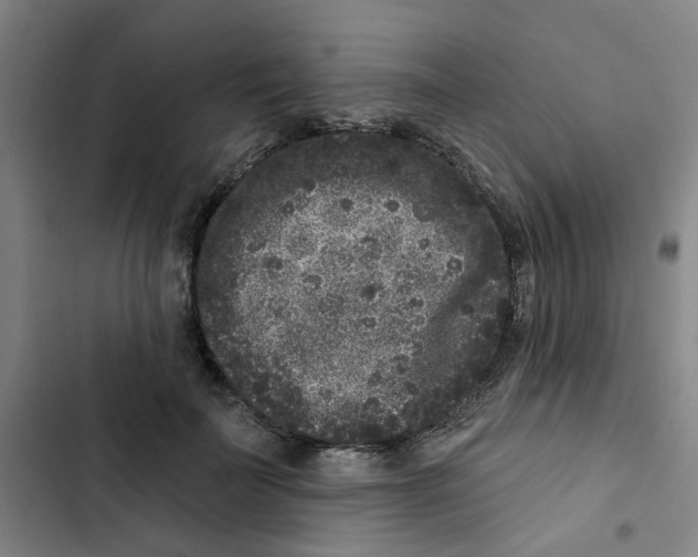 X0000102830699200809151040