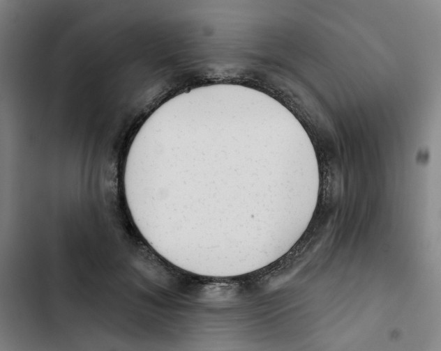 X0000102830700200809151040