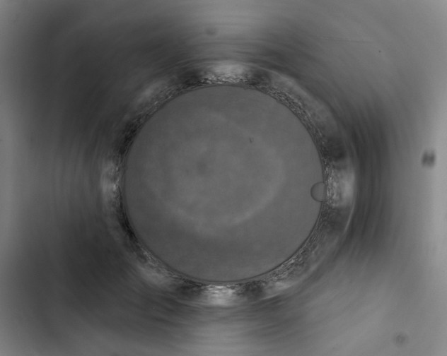 X0000102830701200809151040