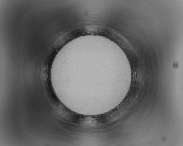 X0000102830702200809151040