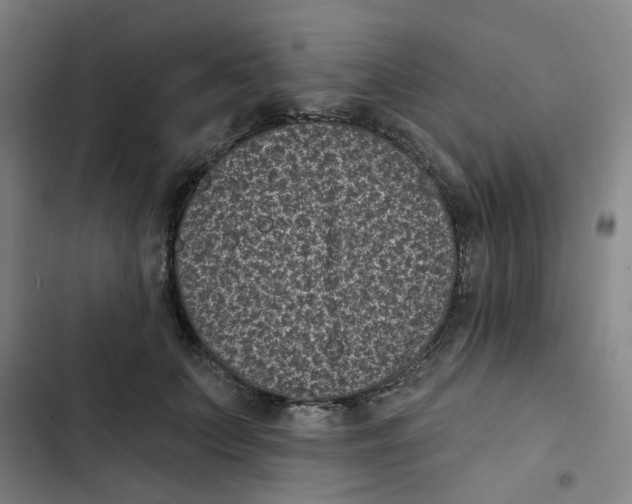 X0000102830703200809151040