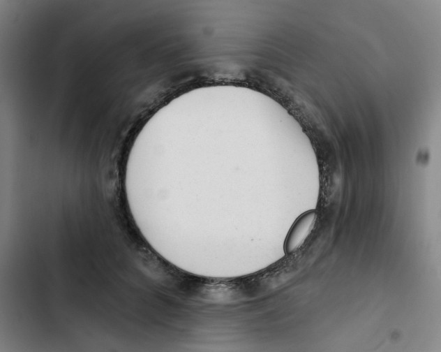 X0000102830704200809151040