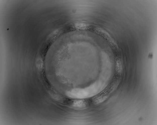 X0000102830705200809151039
