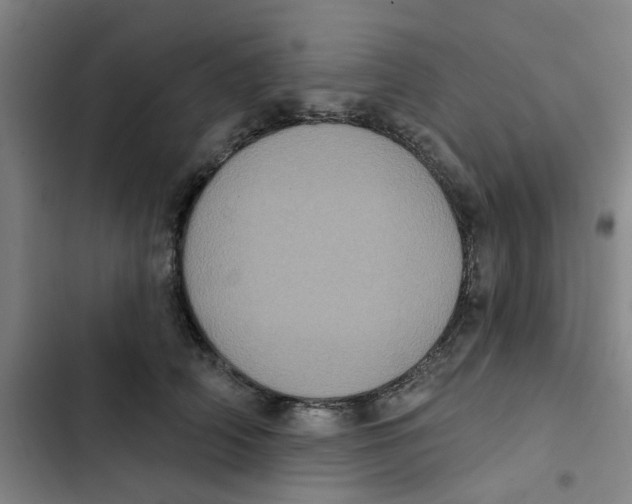 X0000102830706200809151039