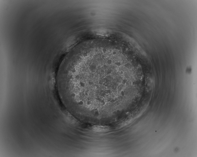 X0000102830707200809151039