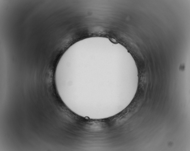 X0000102830708200809151039