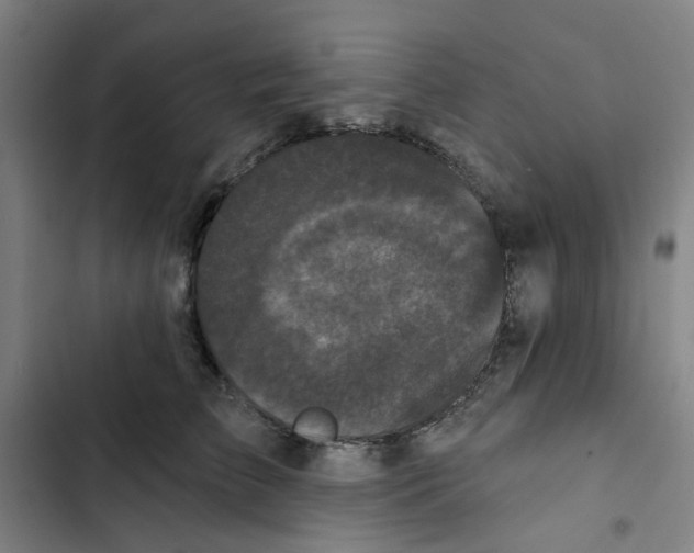 X0000102830709200809151039