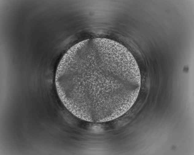 X0000102830710200809151039