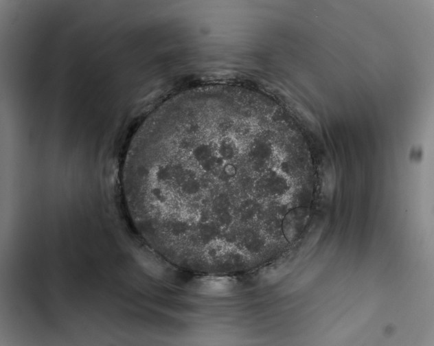 X0000102830711200809151039