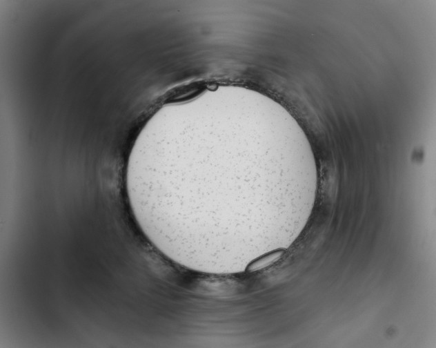 X0000102830712200809151039