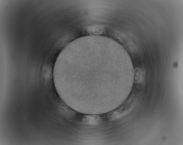 X0000102830713200809151039
