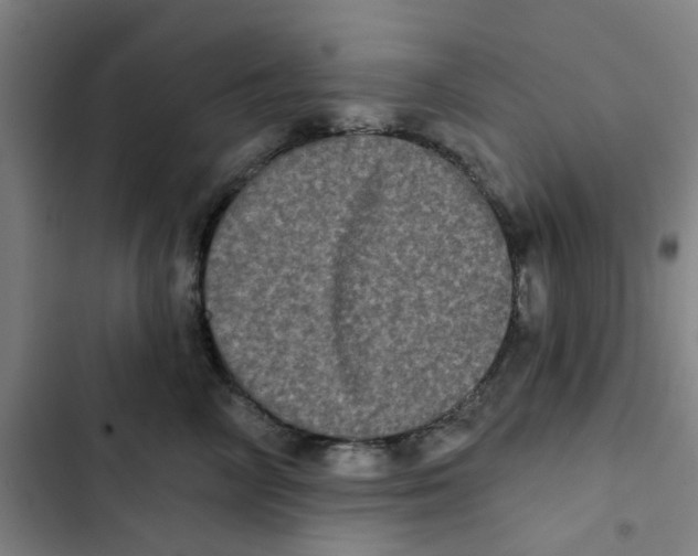 X0000102830714200809151039