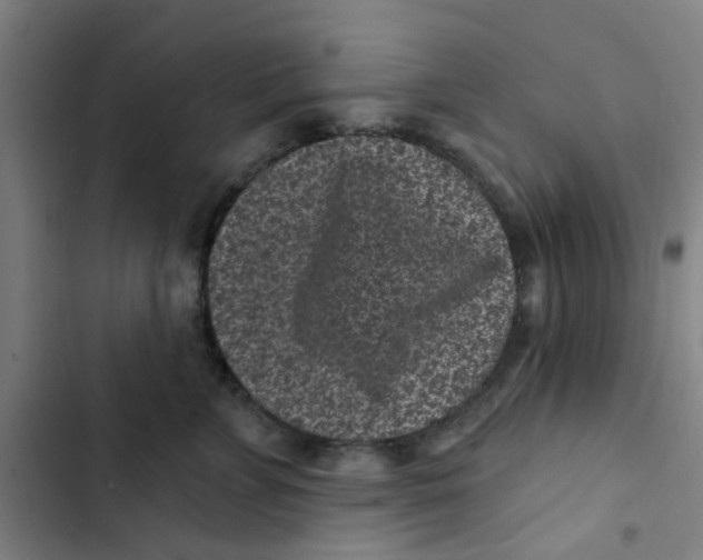 X0000102830715200809151039