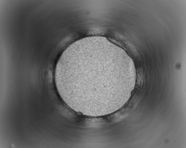 X0000102830716200809151039