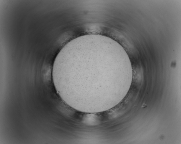 X0000102830717200809151039