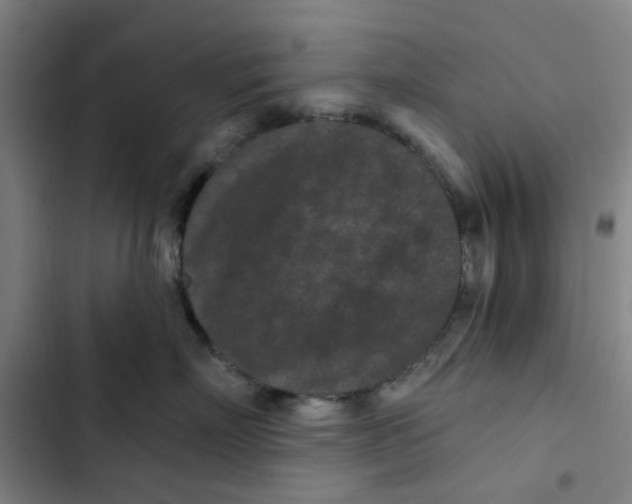 X0000102830718200809151039