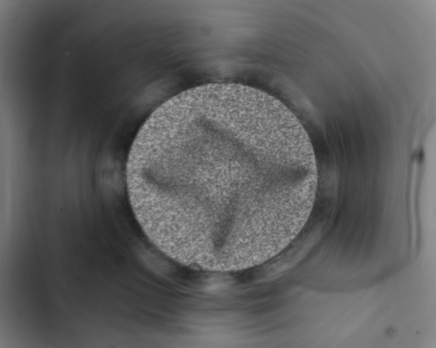 X0000102830719200809151039