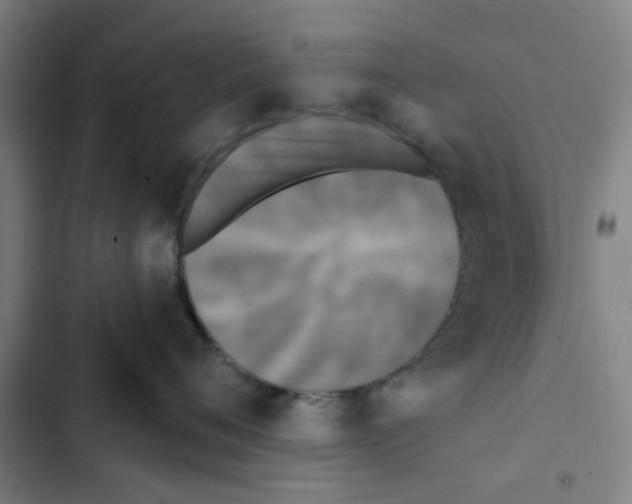 X0000102830720200809151039