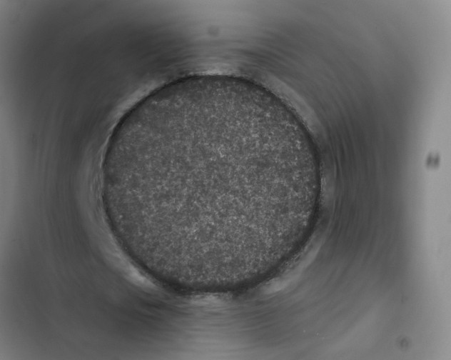 X0000102830721200809151039