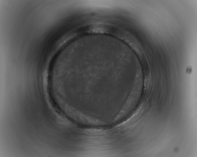 X0000102830722200809151039