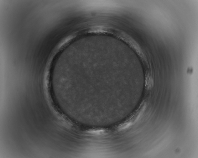X0000102830724200809151039