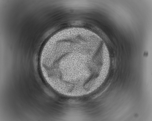 X0000102830725200809151039