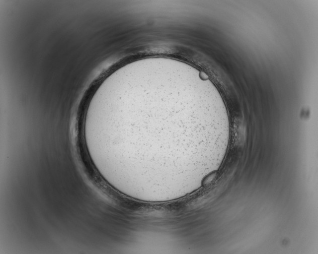 X0000102830726200809151039