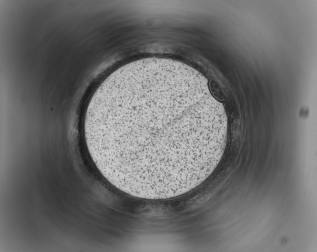 X0000102830727200809151039