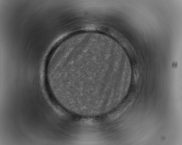X0000102830728200809151039