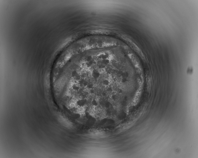 X0000102830729200809151039