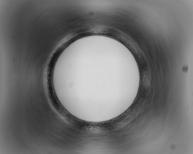 X0000102830730200809151039