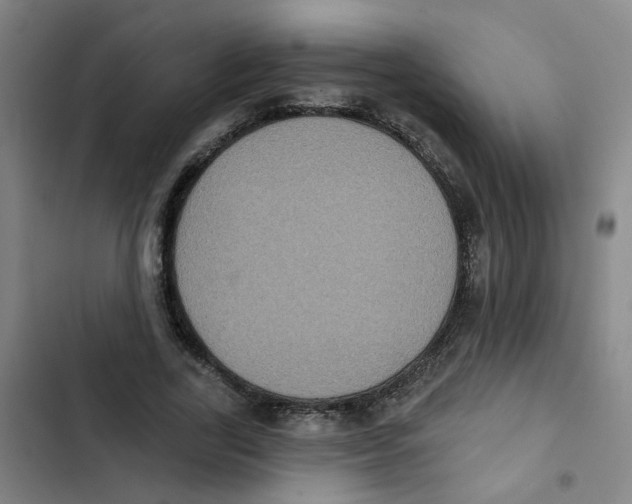 X0000102830731200809151039