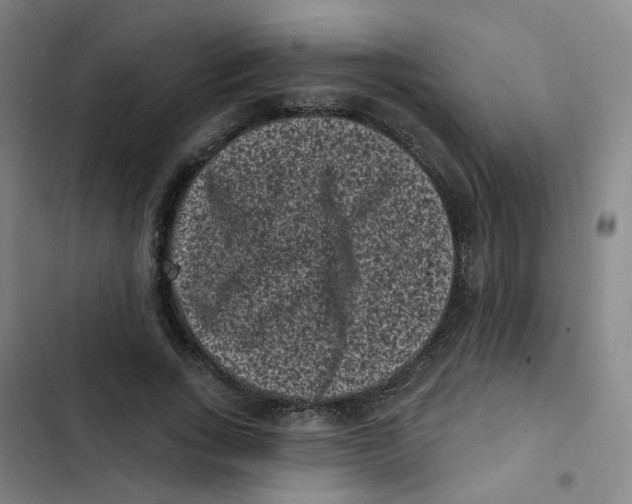 X0000102830735200809151039