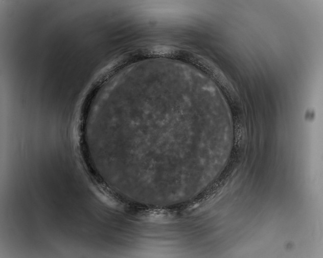 X0000102830736200809151039