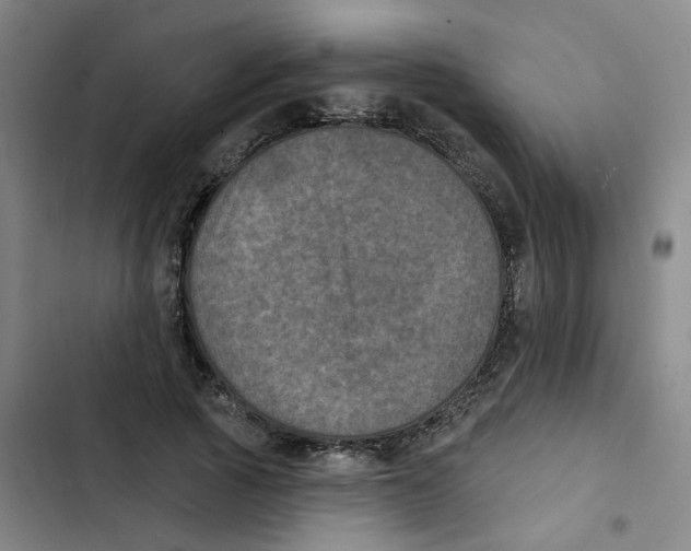 X0000102830737200809151039