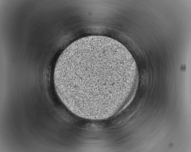 X0000102830739200809151039