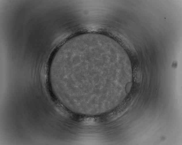 X0000102830740200809151039