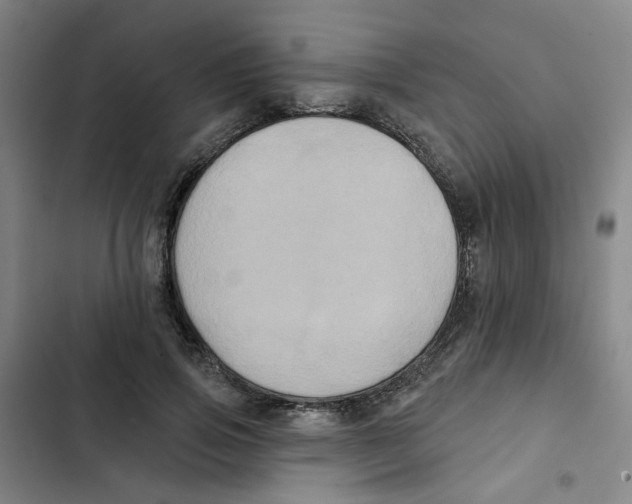 X0000102830741200809151039