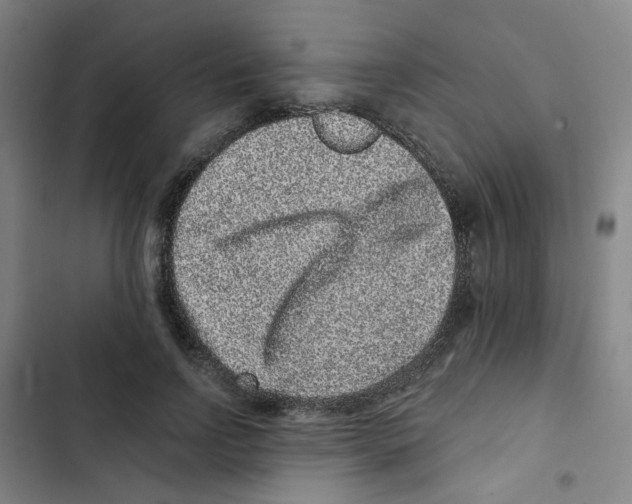 X0000102830742200809151039