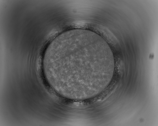 X0000102830744200809151039