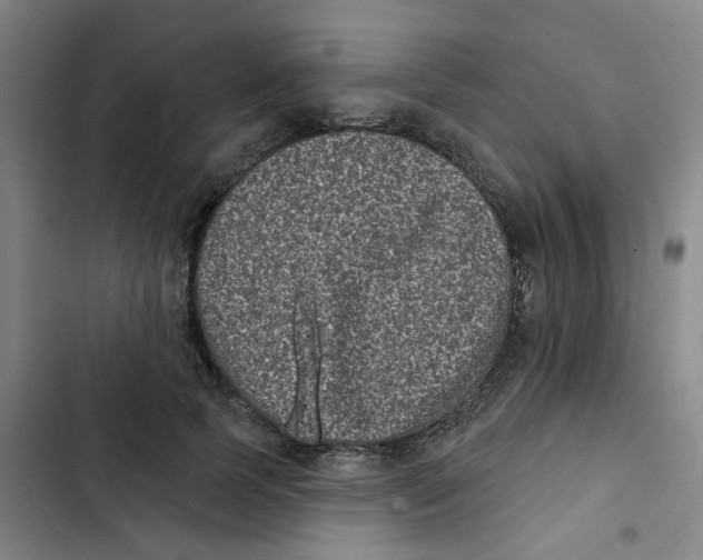 X0000102830745200809151039