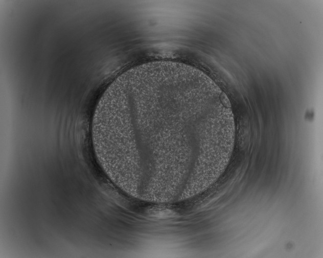 X0000102830747200809151039