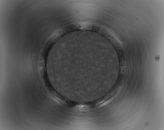 X0000102830748200809151039