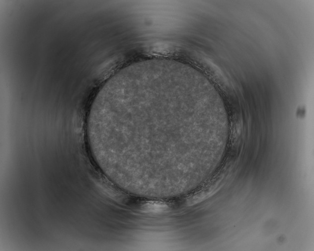 X0000102830749200809151039
